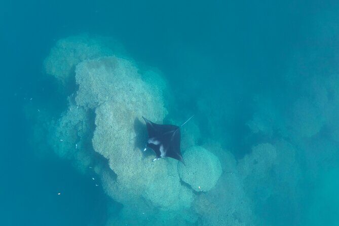 Taha'a Island or Raiatea Boat Tour - The Itinerary in Detail: What Makes Each Stop Special