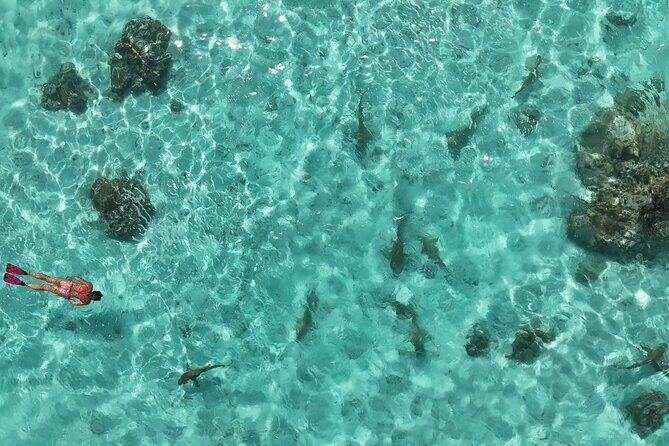 Taha'a Island or Raiatea Boat Tour - Authentic Experiences and Genuine Reviews