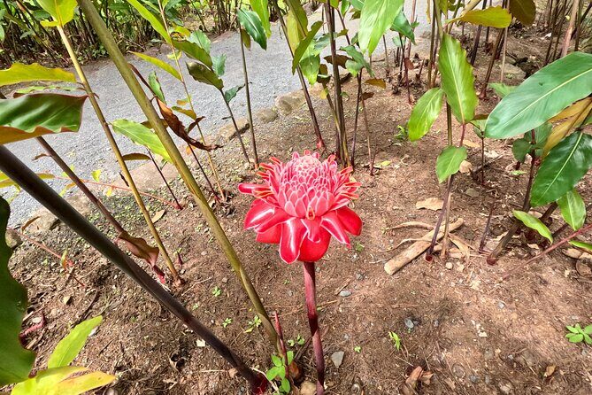 Taha'a Island or Raiatea Boat Tour - FAQ