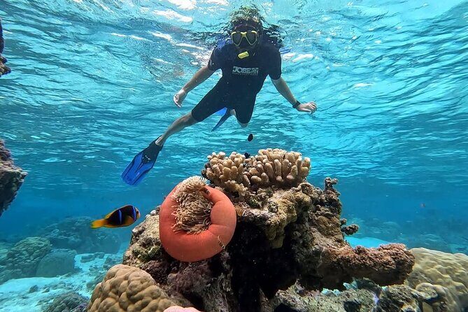 Tahaa: Kayaking Rental - Coral Garden - Snorkeling - Frequently Asked Questions