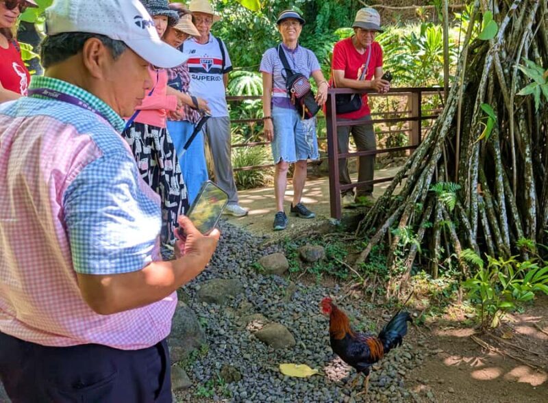 Tahiti Classical Coastal Full Day Private Tour - Key Points