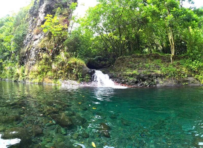 Tahiti E-bike, mtb, vtt Tour with Swimming and Lunch - Key Points