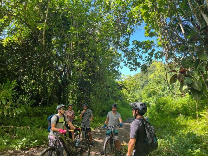 Tahiti E-bike, mtb, vtt Tour with Swimming and Lunch - The Itinerary Breakdown: From Pickup to Return