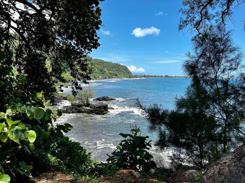 Tahiti: East or West coast tour (Half Day) - Key Points