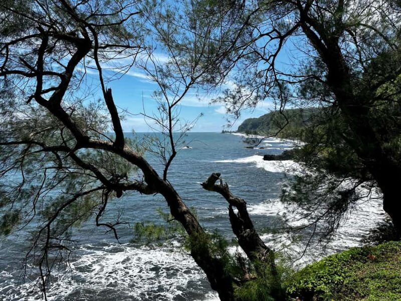 Tahiti: East or West coast tour (Half Day) - What to Expect During the Tour