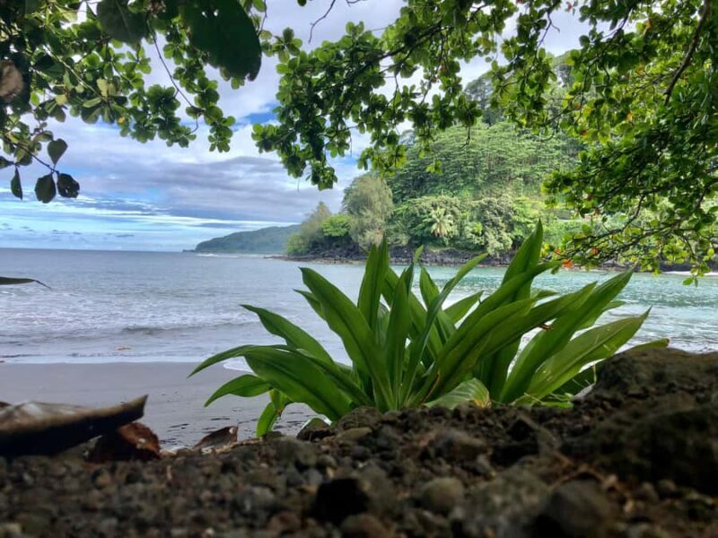 Tahiti: East or West coast tour (Half Day) - Transport, Cost, and Practicalities