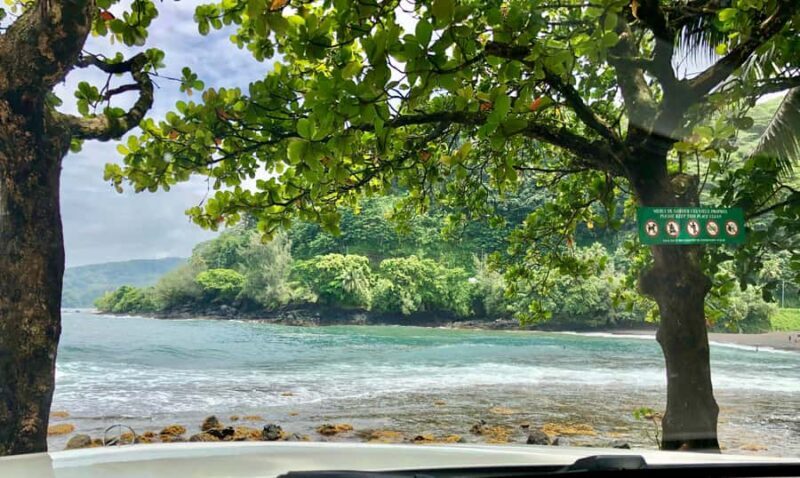 Tahiti: East or West coast tour (Half Day) - Who Is This Tour Best For?