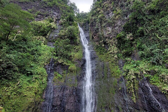 Tahiti Fautaua Valley and Big Waterfall Private Hiking Tour - An In-Depth Look at the Tahiti Fautaua Valley and Waterfall Tour