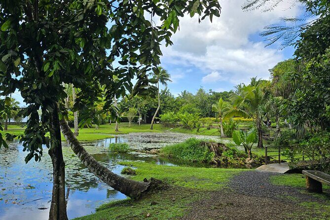 Tahiti Full Day Private Coastal Tour - What to Expect from the Tahiti Full-Day Private Coastal Tour