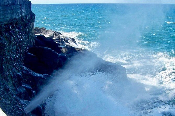 Tahiti: Full Day Tour of the Island - Who Will Love This Tour?