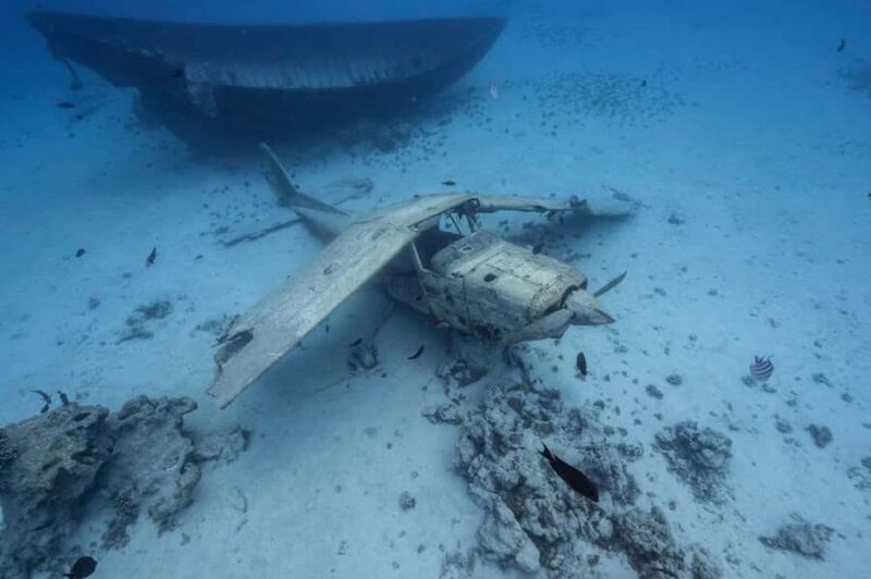 Tahiti island: 4 hours Snorkeling Tour - Who Will Love This Tour?