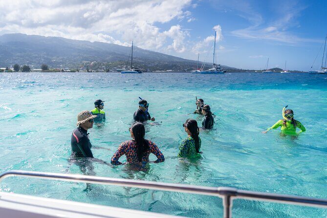 Tahiti Lagoon Snorkeling and Lunch Boat Tour (6 pax max) - Who Will Love This Tour?