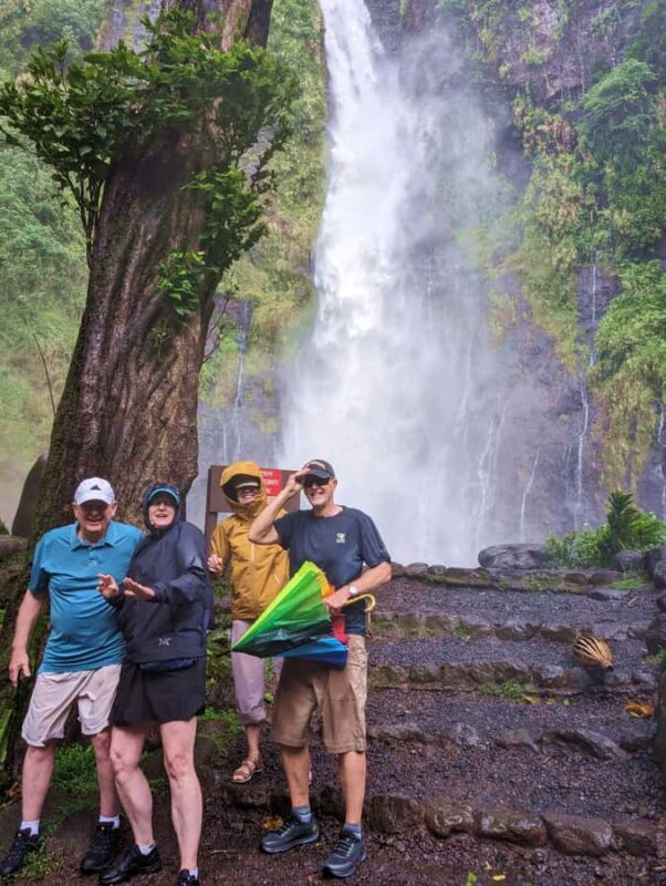 Tahiti: Northeast Coast Waterfalls&Viewpoints Half Day Tour - Key Points