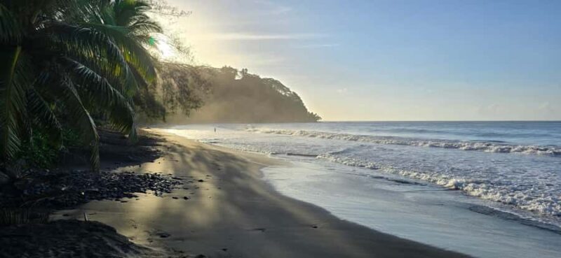 Tahiti: Northeast Coast Waterfalls&Viewpoints Half Day Tour - Transportation, Timing, and Value