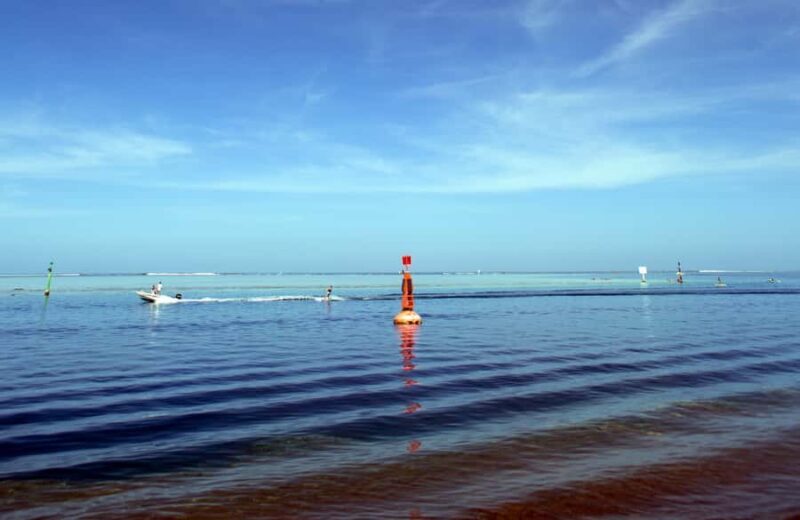 Tahiti: Private Half Day Culture and Nature Highlights Tour - A Closer Look at the Itinerary