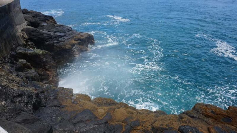 Tahiti: Private Half Day Culture and Nature Highlights Tour - Who Will Enjoy This Tour?