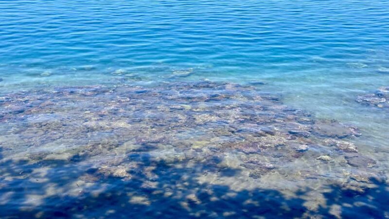 Tahiti : Tour de lîle Côte Est et Côte Ouest (Full Day) - Authenticity & Overall Experience