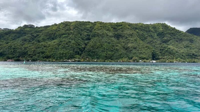 Tahiti : Tour de lîle Côte Est et Côte Ouest (Full Day) - Who Will Love This Tour?