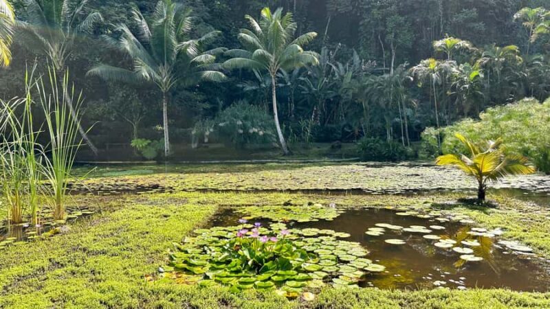 Tahiti : Tour de lîle Côte Est et Côte Ouest (Full Day) - The Sum Up