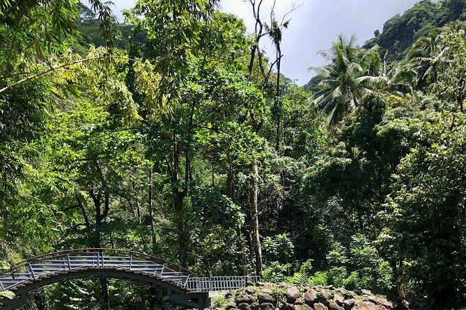 Tahiti: Tour of the East or West Coast (Half Day) - FAQ