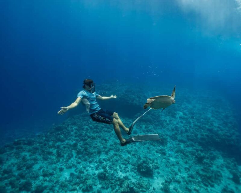 Tahiti Underwater Photo Experience - Final Thoughts