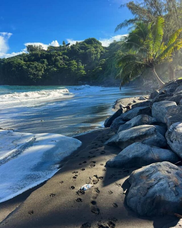 Tahiti: Unique East Coast Half Day Tour with Local Guide - Key Points