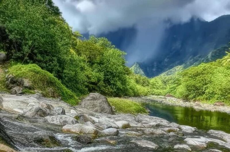 Tahiti: Unique East Coast Half Day Tour with Local Guide - Authentic Experiences You’ll Cherish