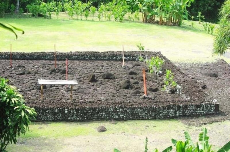 Tahiti: West and East Coast Island Tour with Waterfalls - An In-Depth Look at the Tahiti West and East Coast Tour