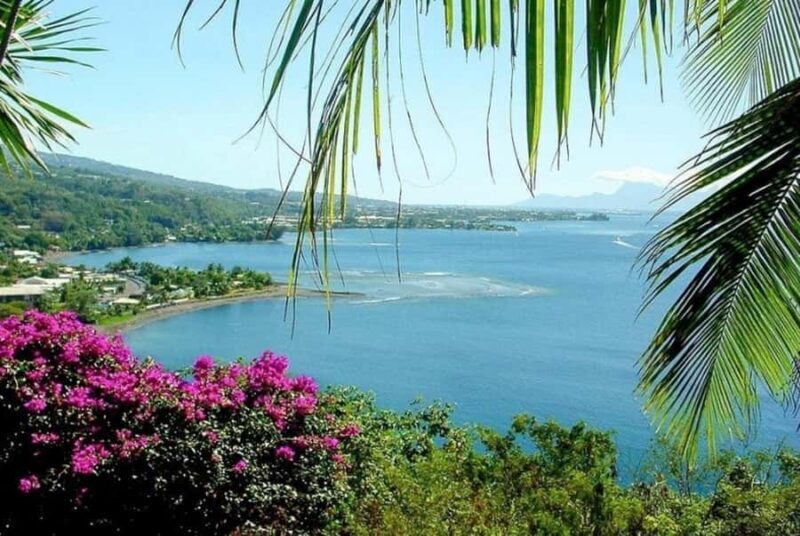 Tahiti: West and East Coast Island Tour with Waterfalls - What Do Travelers Say?