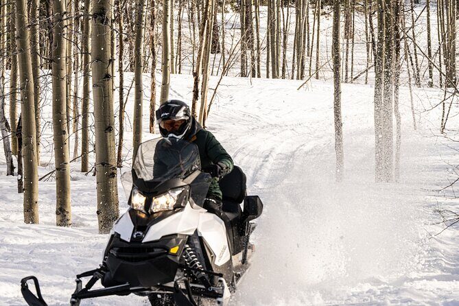 Tahoe Lakeview Snowmobiling Tours - An In-depth Look at the Tahoe Lakeview Snowmobiling Tour