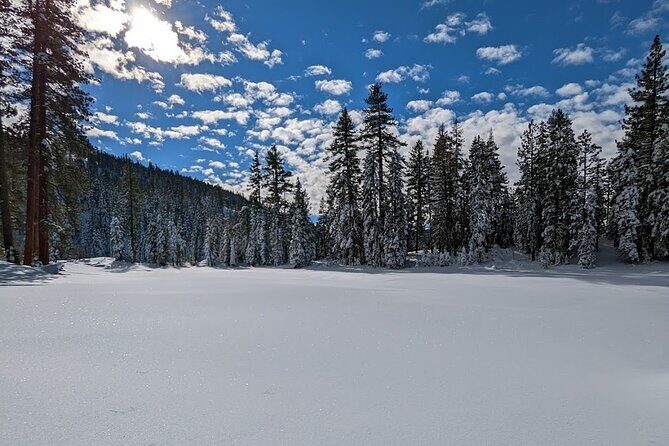 Tahoe National Forest Moonlight Snowshoe Tour Under a Starry Sky - FAQ