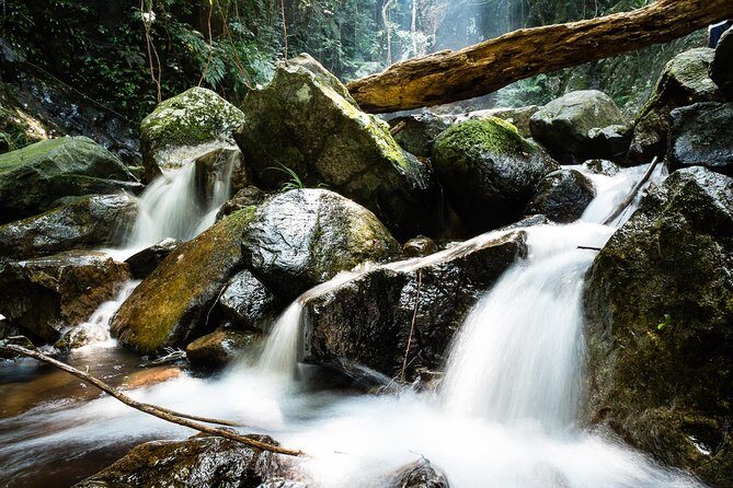 Tai Mo Shan Waterfall Adventure Hike - Who Will Love This Tour?