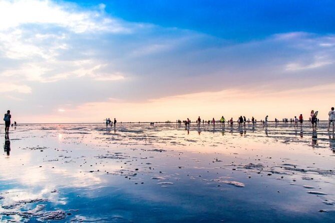 Taichung Art and Culture Tour - Discover Taiwan’s Artistic and Cultural Soul with the Taichung Art and Culture Tour