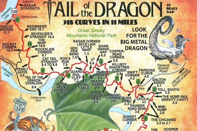 Tail of the Dragon Slingshot Adventure - Starting Point and Overall Experience