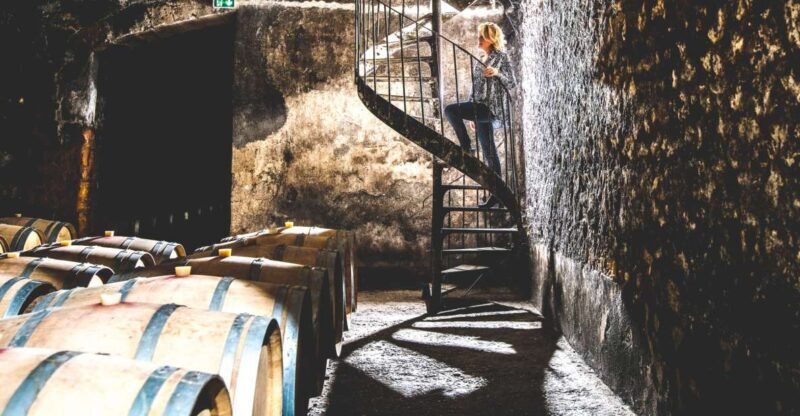 Taillan-Médoc: Château Visit and Wine Tasting in Bordeaux - Who Would Enjoy This Tour?