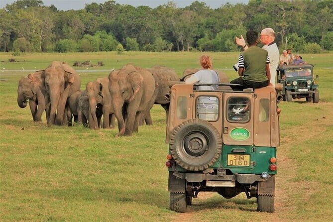 Tailor-made Multi-day Private Tour Packages in Sri Lanka - Final Thoughts