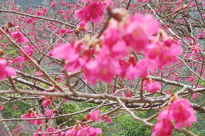 Taipei City to Taoyuan Airport Private Transfer - Who Should Consider This Transfer?