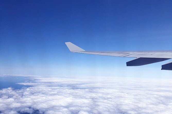Taipei Touchdown: Make the Most of Your 6-Hour Layover - Who This Tour Is Perfect For