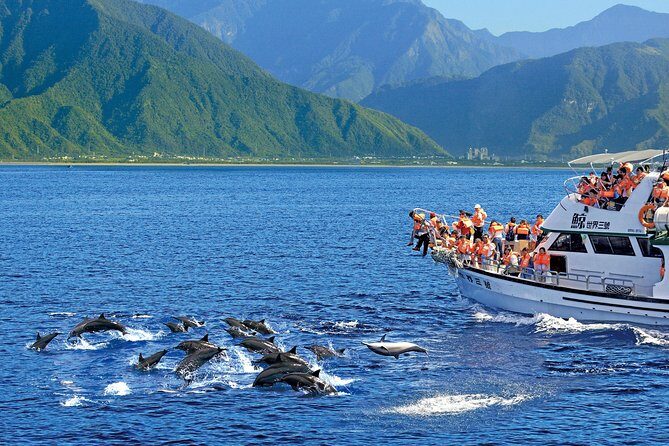 Taiwan Hualien Whale Watching Dolphin - Additional Details: Logistics and Practical Tips