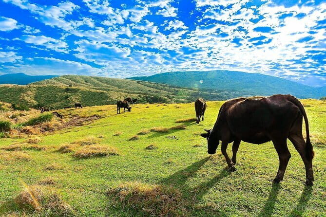 Taiwan TST : Private Tour Taipei, Yangmingshan, Beitou, Tamsui - A Deep Dive into the Tour: What to Expect