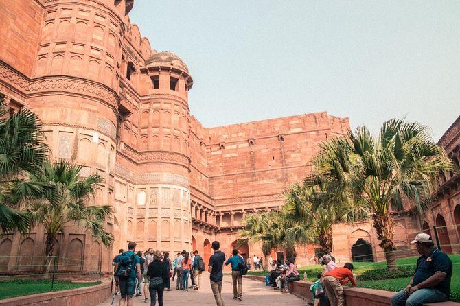 Taj Mahal & Agra Fort Sunrise Tour From Delhi By Car - Authentic Experiences and Traveler Insights
