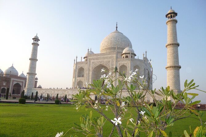 Taj Mahal & Agra Fort Tour from Delhi By Car with 5* Lunch - Practical Details & Tips for Making the Most of the Tour