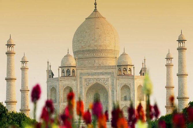 Taj Mahal & Agra Private Day Tour from Delhi - Authentic Insights From Reviewers
