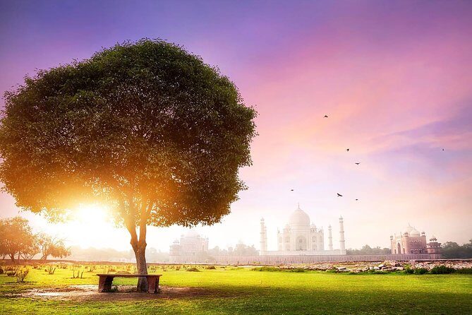 Taj Mahal Sharing Same Day Trip From Delhi Including all - The Itinerary in Detail: What to Expect