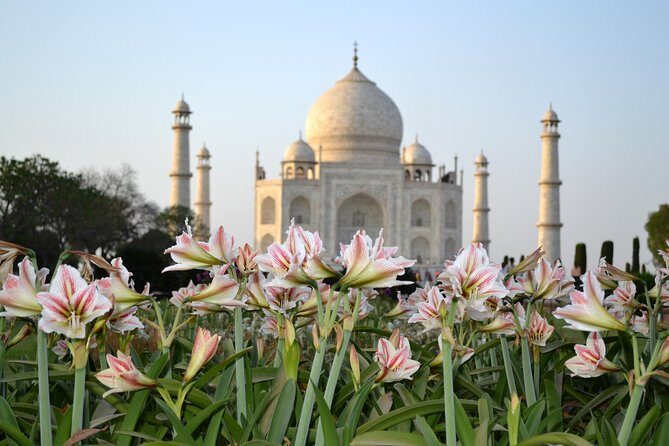 Taj Mahal Sunrise and Agra Overnight Tour from Chennai - Who Would Love This Tour?