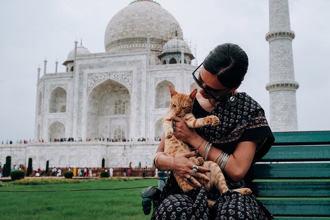 Taj Mahal Tour by Car From Delhi - Transportation and Logistics