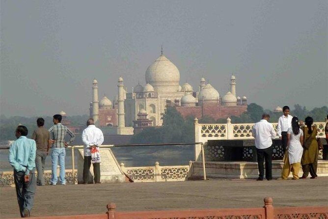 Taj Mahal tour with Elephant and Bear conservation center from Delhi - The Itinerary Breakdown: What to Expect on this Day Trip