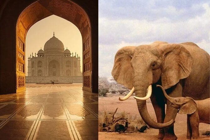 Taj Mahal Tour with Enchanting Elephant Sanctuary Visit - Practical Tips for Visitors