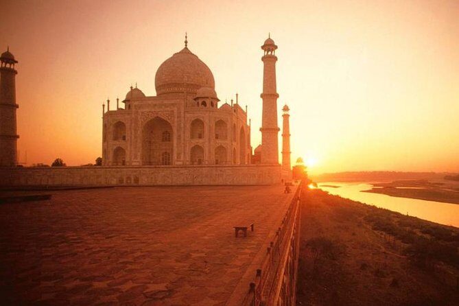 Taj mahal tour with SOS Elephant/Bear wildlife Sanctuary - A Detailed Look at the Tour Experience