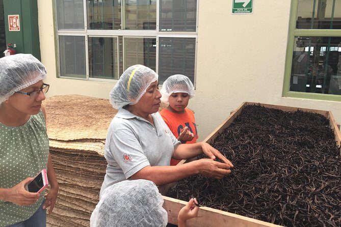 Tajin Ruins Day Trip and Vanilla Factory Experience - Tajin Ruins Day Trip and Vanilla Factory Experience: An Authentic Journey Through Veracruz